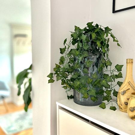 Travellers Apartment 克卢日-纳波卡 外观 照片