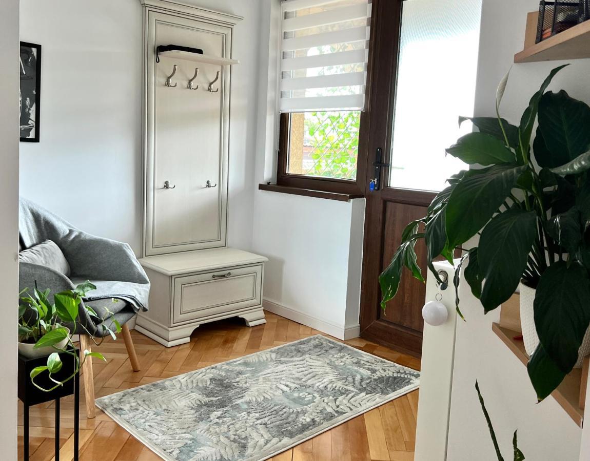 Travellers Apartment 克卢日-纳波卡 外观 照片