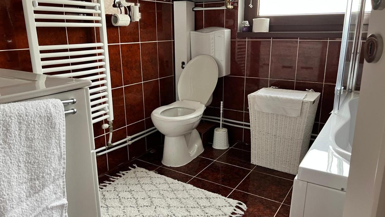 Travellers Apartment 克卢日-纳波卡 外观 照片