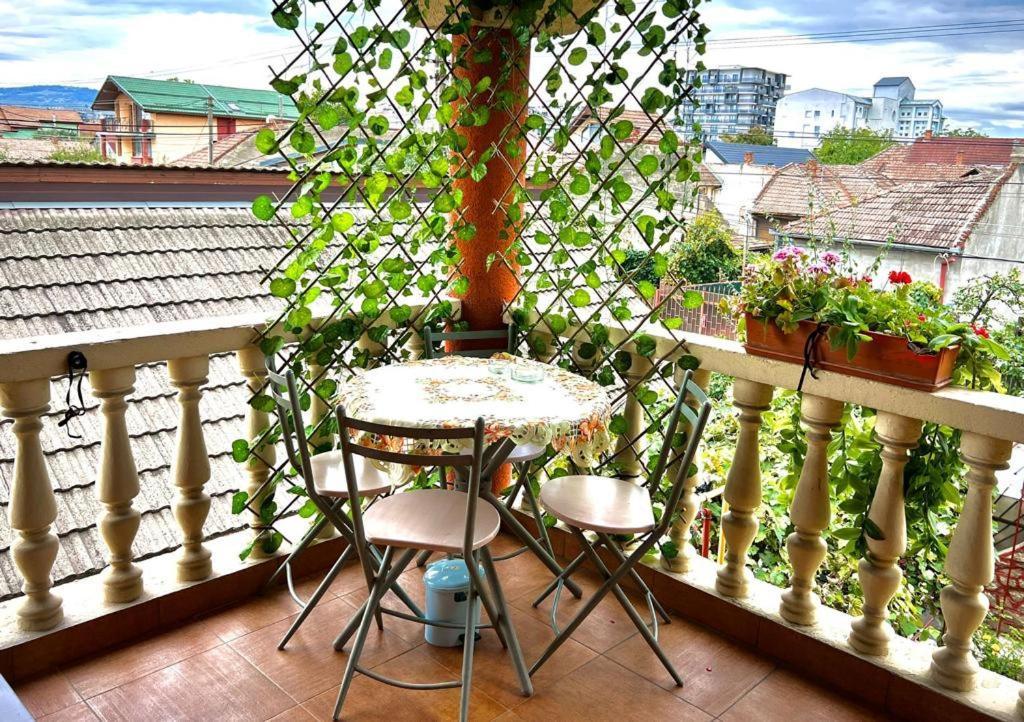 Travellers Apartment 克卢日-纳波卡 外观 照片